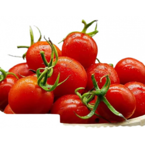 釜山88小番茄新鲜玲珑千禧圣女果樱桃蔬菜水果三斤礼盒精品装